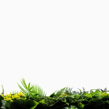 Mur vegetal artificiel brise vue Exotik