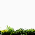 Mur vegetal artificiel brise vue Exotik