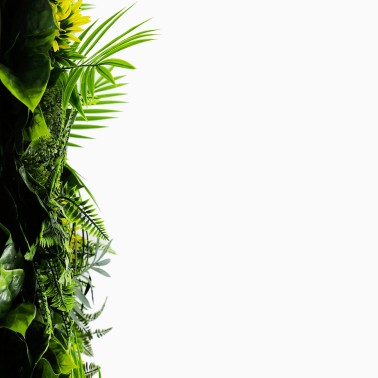 Mur vegetal artificiel brise vue Exotik