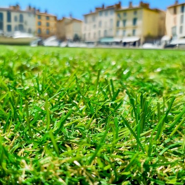 Gazon Synthétique et Pelouse Synthétique Mercury / Fréjus
