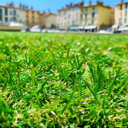 Gazon Synthétique et Pelouse Synthétique Mercury / Fréjus
