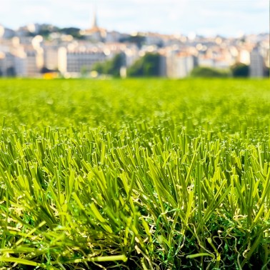Gazon synthétique et Pelouse Synthétique Soleil / Marseille 2025