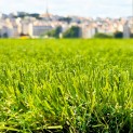 Gazon synthétique et Pelouse Synthétique Soleil / Marseille 2025