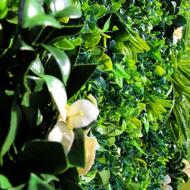 Mur vegetal artificiel liseron MGS