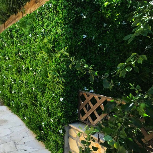 Mur vegetal artificiel liseron MGS
