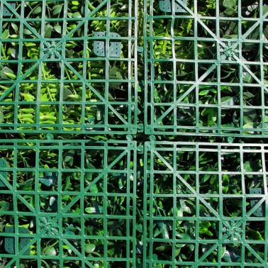 Mur vegetal artificiel liseron MGS