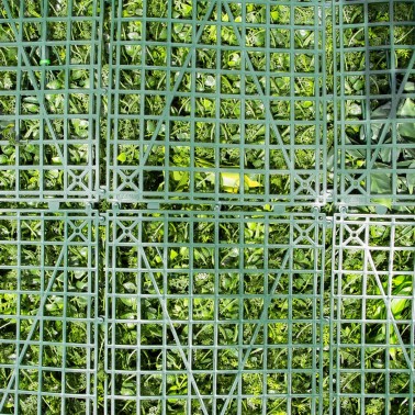 Mur Vegetal Artificiel Fougère Dense MGS
