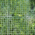 Mur Vegetal Artificiel Fougère Dense MGS