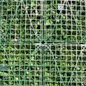 Mur Vegetal Artificiel Wonderland MGS