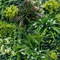 Mur Végétal Artificiel Luxury MGS