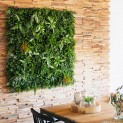 Mur Vegetal Artificiel Savane MGS
