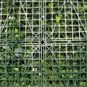 Mur Vegetal Artificiel Savane MGS