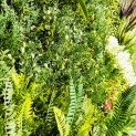 Mur Vegetal Artificiel Prairie Color MGS