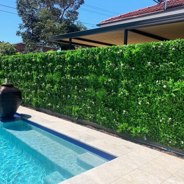 Mur Vegetal Artificiel Liseron MGS
