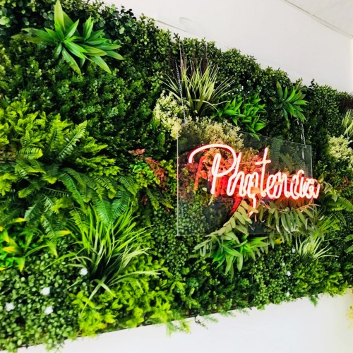 Mur Vegetal Artificiel...