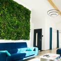 Mur Vegetal aspect Luxuriant Wonderland MGS