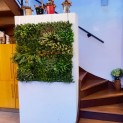 Mur Vegetal Artificiel Prairie Color MGS