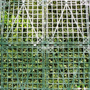 Mur Vegetal Artificiel Prairie Color MGS