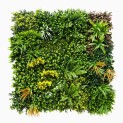 Mur Vegetal Artificiel Jungle MGS