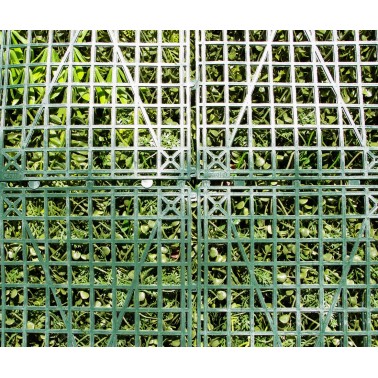 Mur Végétal Artificiel Tropic MGS