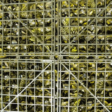 Mur Végétal Artificiel Boheme MGS
