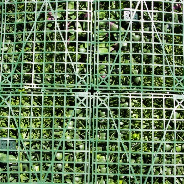 Mur vegetal artificiel brise vue Wonderland