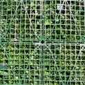 Mur vegetal artificiel brise vue Wonderland