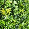 Feuillage artificiel Mur vegetal artificiel brise vue Lierre
