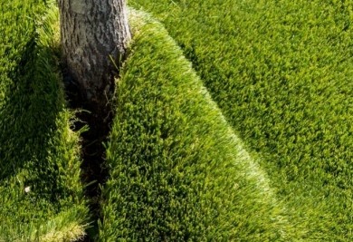 Comment poser son gazon synthetique avec un arbre au milieu