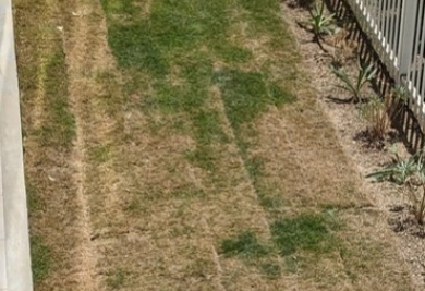 Gazon Synthétique : La Solution Idéale pour les Conditions Difficiles