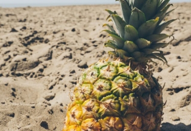 Les Avantages du Gazon Synthétique Face au Dérèglement Climatique
